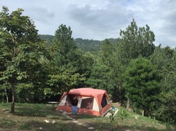 IMG_8223