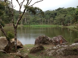 lago