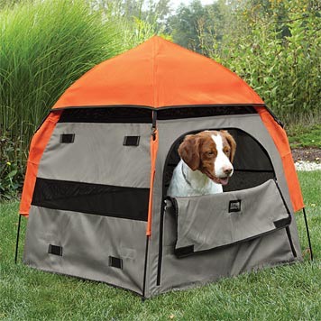 pet camping