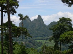 picacho