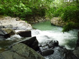 rio maria